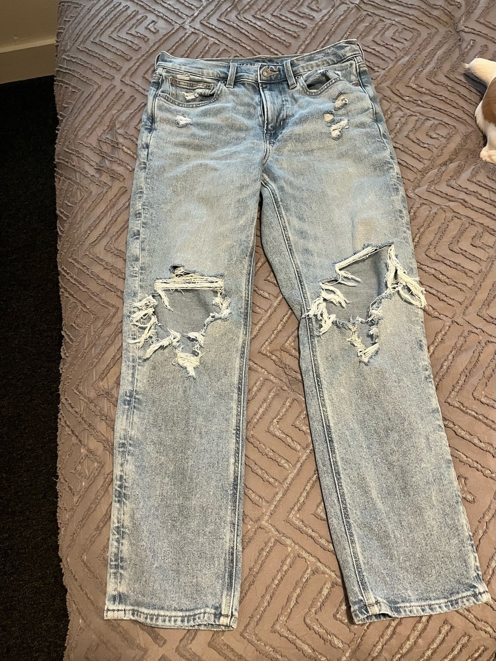 American Eagle Outfitters Light Blue Distressed Straight Leg Jeans